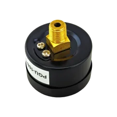 Pressure Gauges with Dual Scale (Bar/PSI)