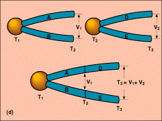 figure 1d